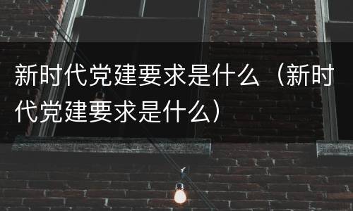 新时代党建要求是什么（新时代党建要求是什么）
