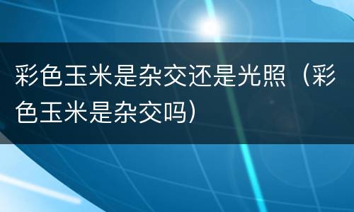彩色玉米是杂交还是光照（彩色玉米是杂交吗）