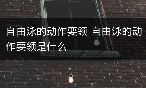 自由泳的动作要领 自由泳的动作要领是什么
