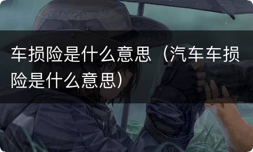 车损险是什么意思（汽车车损险是什么意思）