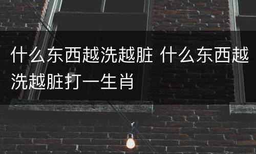 什么东西越洗越脏 什么东西越洗越脏打一生肖