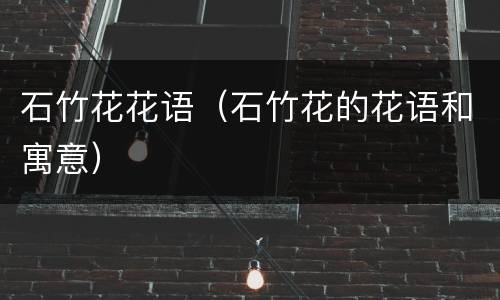 石竹花花语（石竹花的花语和寓意）