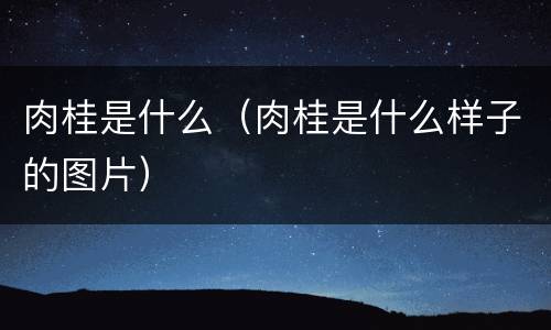 肉桂是什么（肉桂是什么样子的图片）