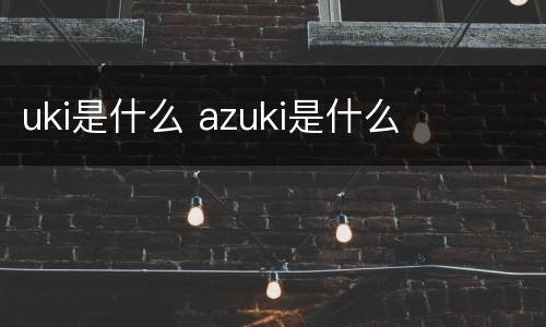 uki是什么 azuki是什么