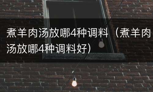 煮羊肉汤放哪4种调料（煮羊肉汤放哪4种调料好）