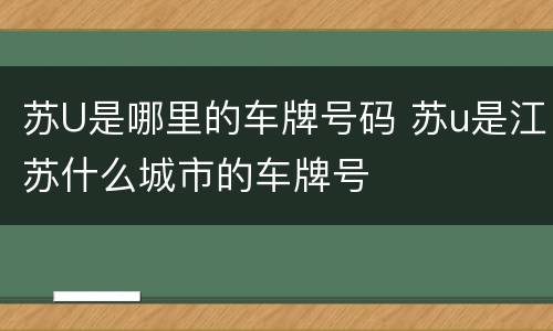 苏U是哪里的车牌号码 苏u是江苏什么城市的车牌号