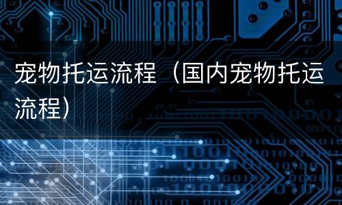 宠物托运流程（国内宠物托运流程）