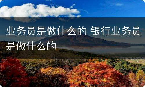 业务员是做什么的 银行业务员是做什么的