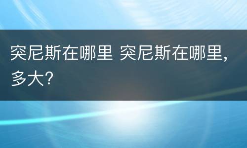 突尼斯在哪里 突尼斯在哪里,多大?