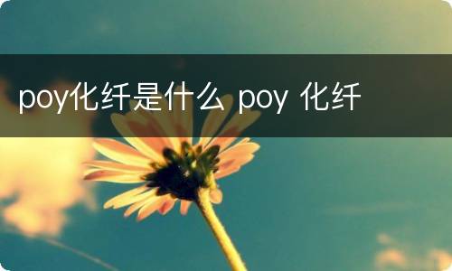 poy化纤是什么 poy 化纤