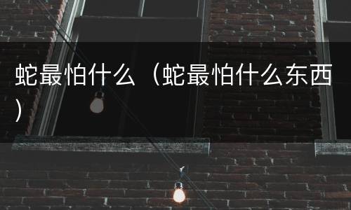 蛇最怕什么（蛇最怕什么东西）
