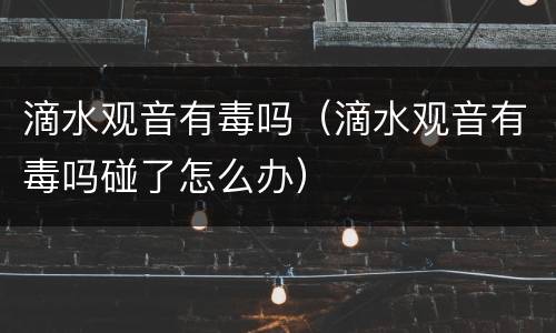 滴水观音有毒吗（滴水观音有毒吗碰了怎么办）