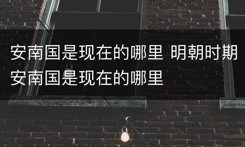安南国是现在的哪里 明朝时期安南国是现在的哪里
