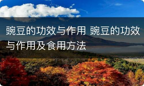 豌豆的功效与作用 豌豆的功效与作用及食用方法