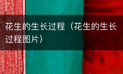 花生的生长过程（花生的生长过程图片）