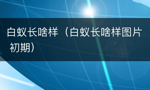 白蚁长啥样（白蚁长啥样图片 初期）