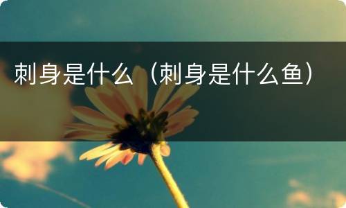 刺身是什么（刺身是什么鱼）