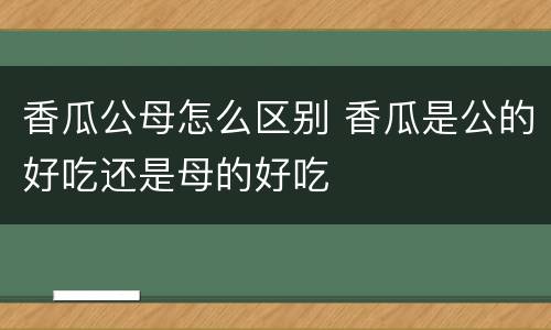 香瓜公母怎么区别 香瓜是公的好吃还是母的好吃