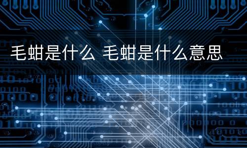 毛蚶是什么 毛蚶是什么意思