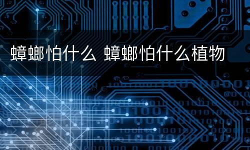 蟑螂怕什么 蟑螂怕什么植物