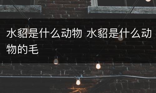 水貂是什么动物 水貂是什么动物的毛