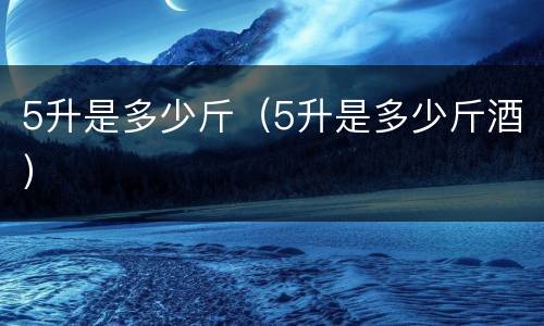 5升是多少斤（5升是多少斤酒）