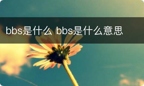 bbs是什么 bbs是什么意思
