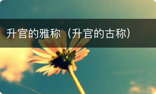 升官的雅称（升官的古称）