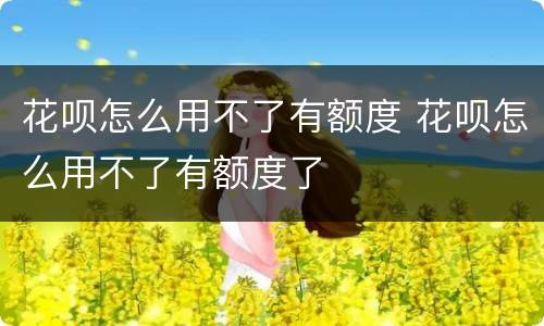 花呗怎么用不了有额度 花呗怎么用不了有额度了
