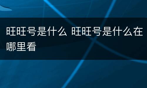旺旺号是什么 旺旺号是什么在哪里看
