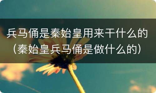 兵马俑是秦始皇用来干什么的（秦始皇兵马俑是做什么的）