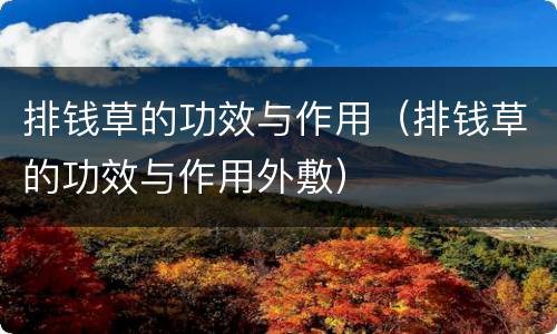 排钱草的功效与作用（排钱草的功效与作用外敷）