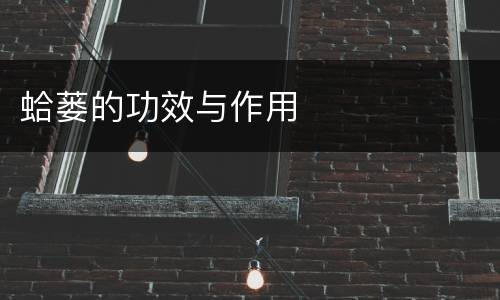 蛤蒌的功效与作用