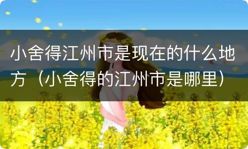 小舍得江州市是现在的什么地方（小舍得的江州市是哪里）