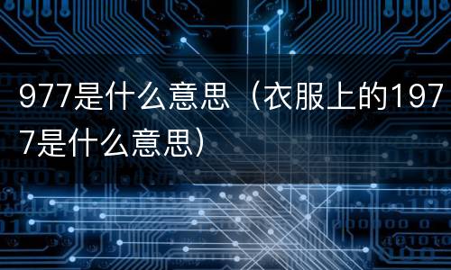 977是什么意思（衣服上的1977是什么意思）