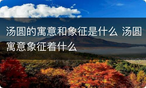 汤圆的寓意和象征是什么 汤圆寓意象征着什么