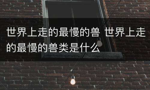 世界上走的最慢的兽 世界上走的最慢的兽类是什么
