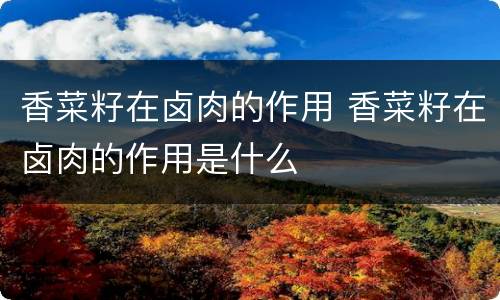 香菜籽在卤肉的作用 香菜籽在卤肉的作用是什么