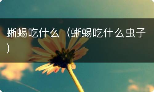 蜥蜴吃什么（蜥蜴吃什么虫子）