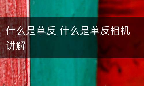 什么是单反 什么是单反相机 讲解