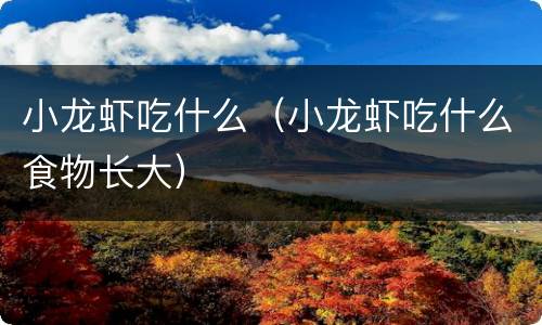小龙虾吃什么（小龙虾吃什么食物长大）