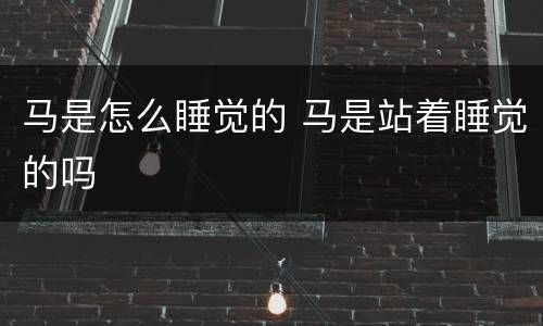 马是怎么睡觉的 马是站着睡觉的吗