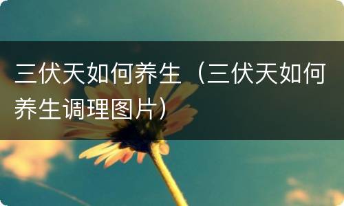三伏天如何养生（三伏天如何养生调理图片）