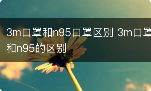 3m口罩和n95口罩区别 3m口罩和n95的区别