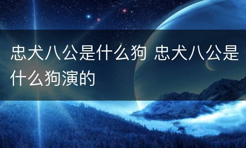 忠犬八公是什么狗 忠犬八公是什么狗演的
