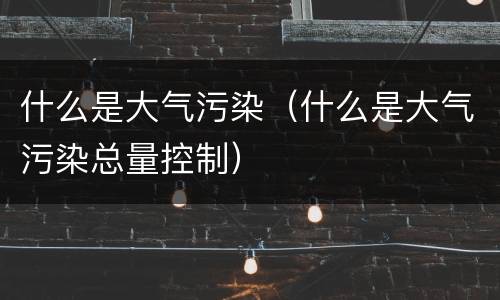 什么是大气污染（什么是大气污染总量控制）