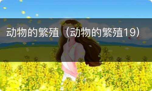 动物的繁殖（动物的繁殖19）