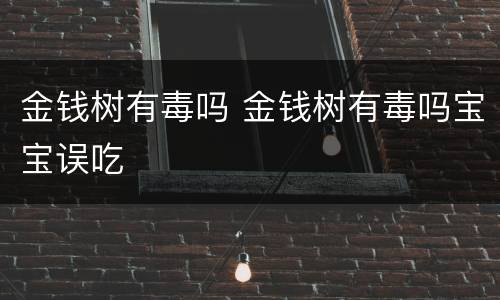 金钱树有毒吗 金钱树有毒吗宝宝误吃