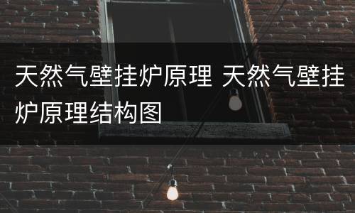 天然气壁挂炉原理 天然气壁挂炉原理结构图