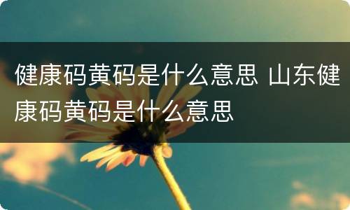 健康码黄码是什么意思 山东健康码黄码是什么意思